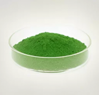 Люминесцентный магнитный порошок ЛМП "Диагма-1613", 1 кг